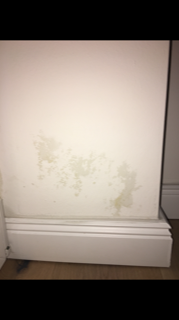 feuchte-waende-im-neubau-sockelbereich-aussenwand-243591-1.png