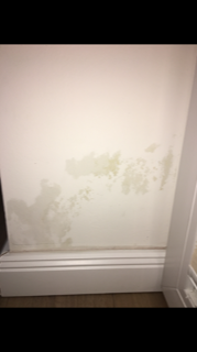 feuchte-waende-im-neubau-sockelbereich-aussenwand-243591-2.png