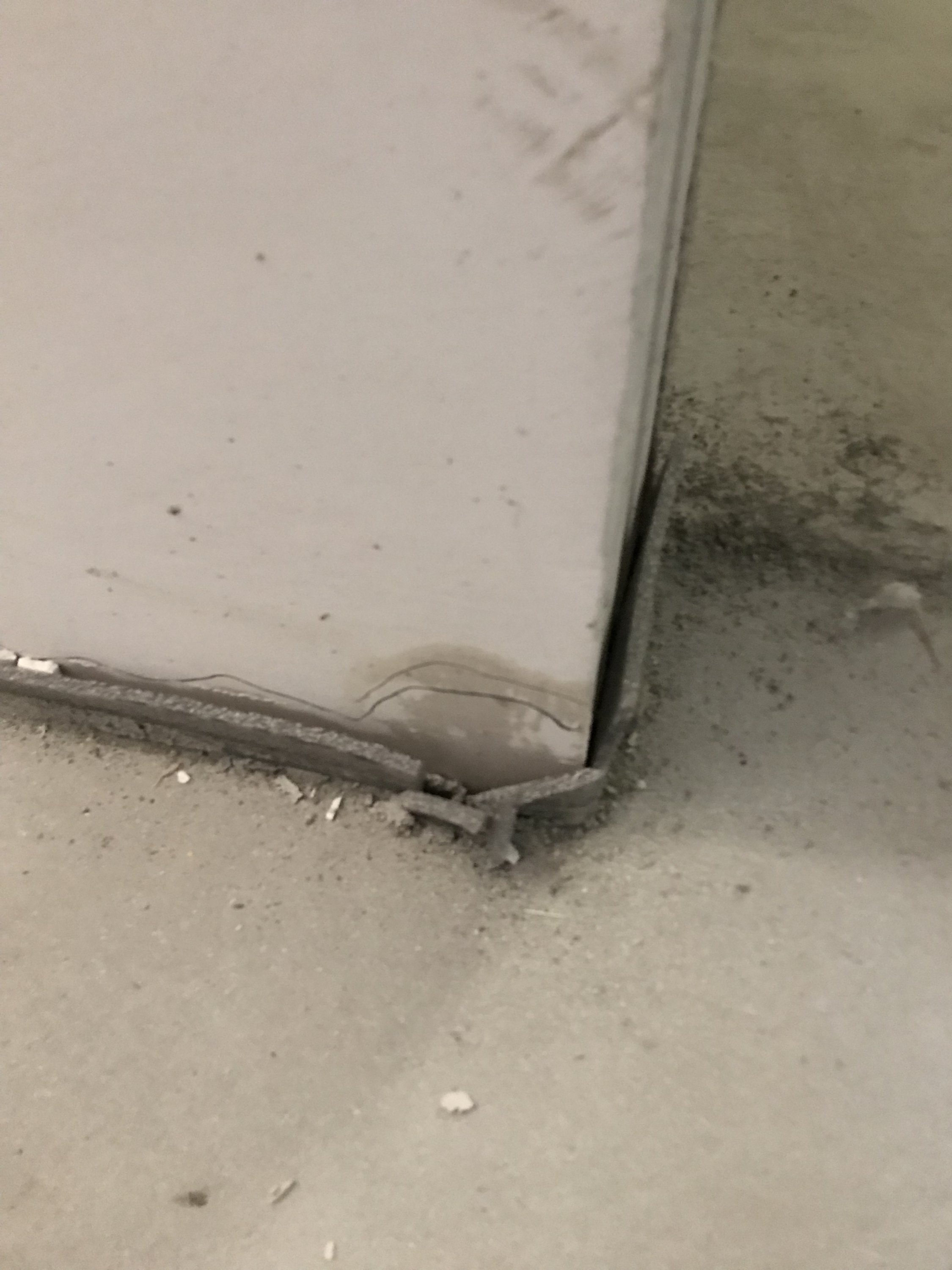 feuchte-waende-in-neubau-im-keller-bauausfuehrungs-fehler-287932-2.jpeg