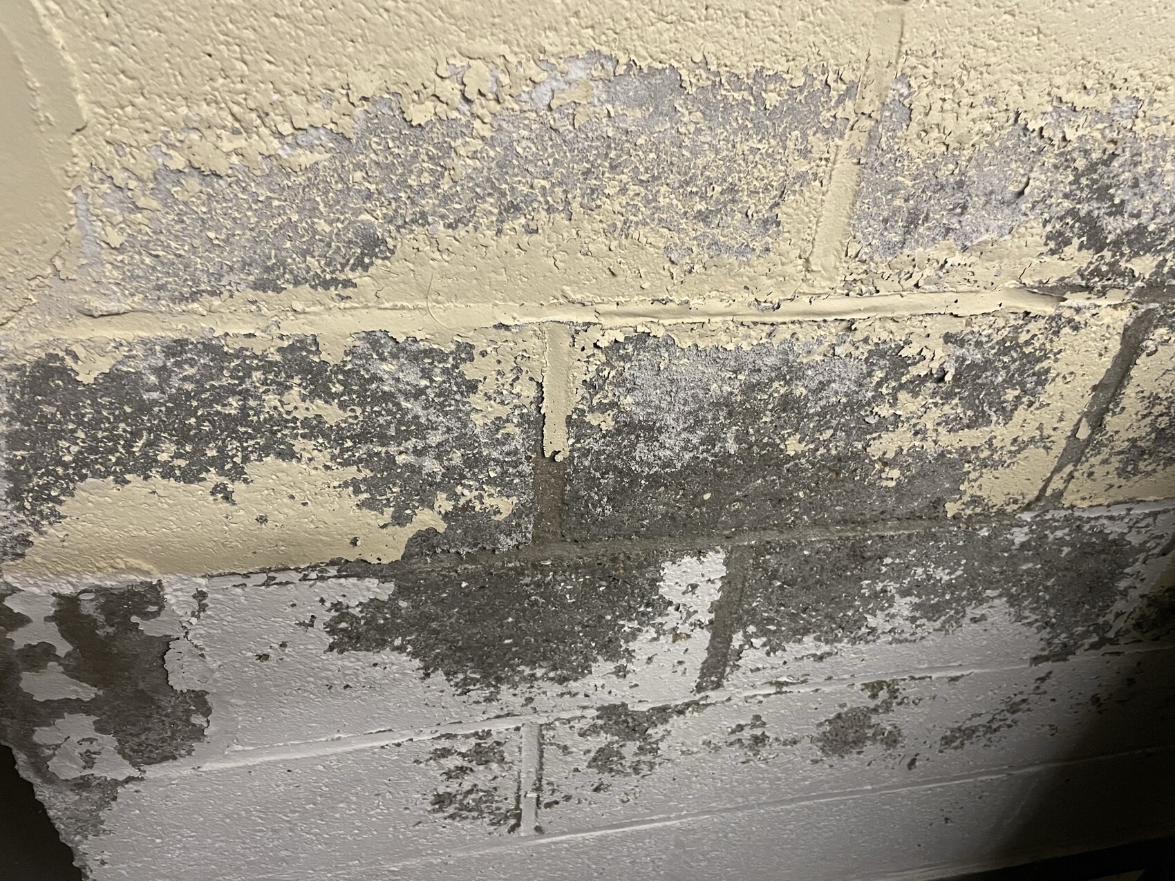 Rauhe Betonwand mit abblätternder beige Farbe und grauen Flecken