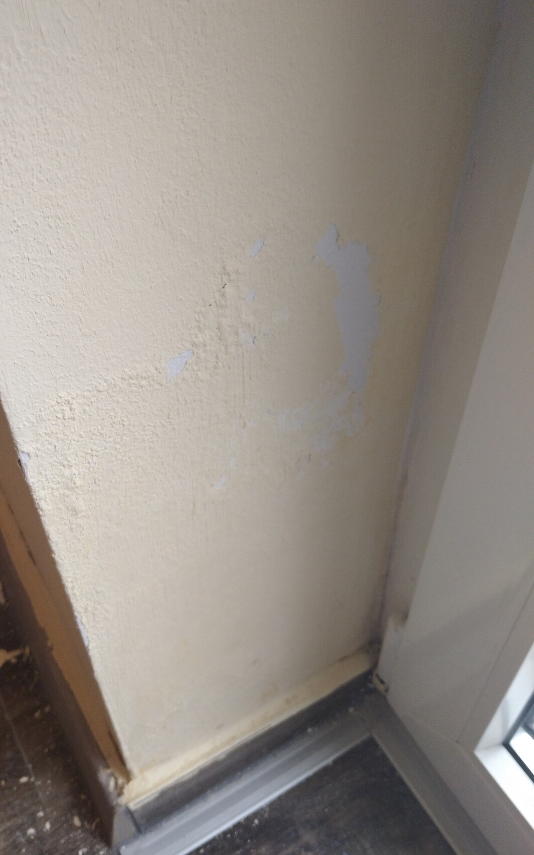Beige Wand mit abgeplatzter Farbe, blau verfärbte Putzstellen und Fußleiste am Boden.