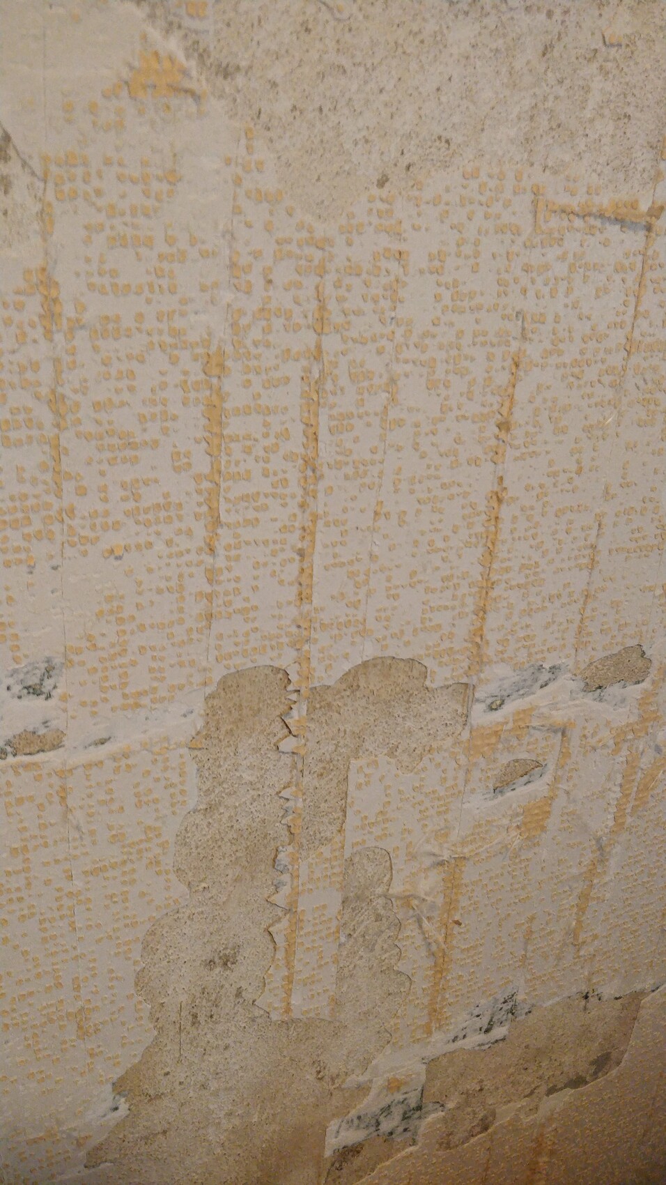 Feuchte Wand mit abplatzendem Putz und gelben Punkten, Baumangel sichtbar