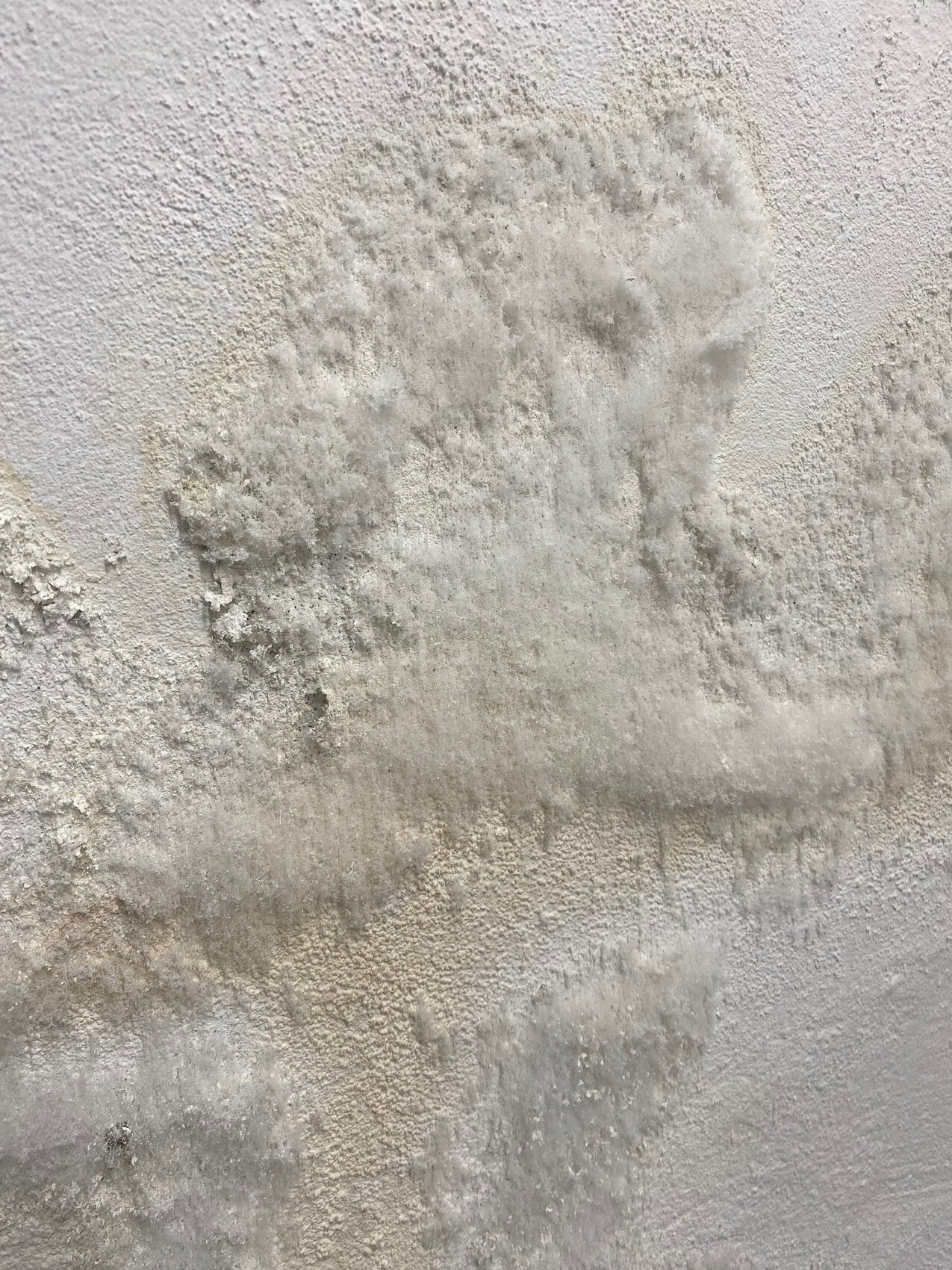 feuchte-wand-bauschaden.jpg