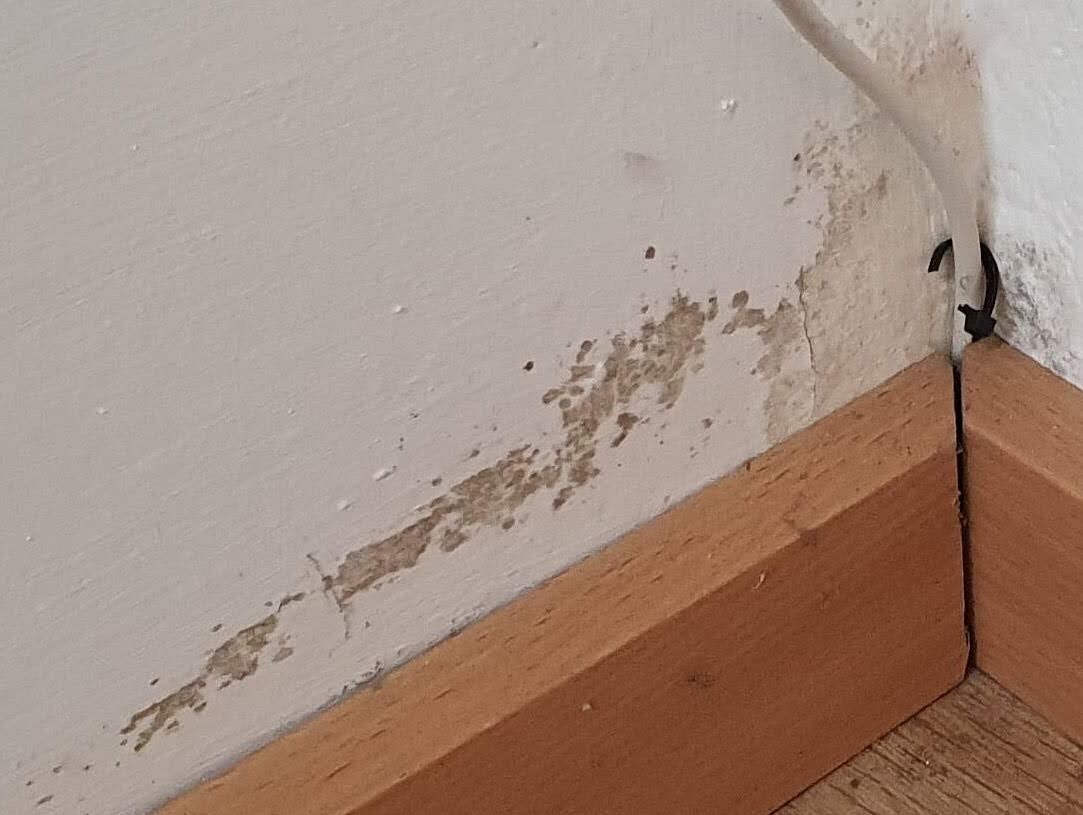 Wand mit abblätterndem Putz neben der Fußleiste; Kabel läuft in der Ecke.