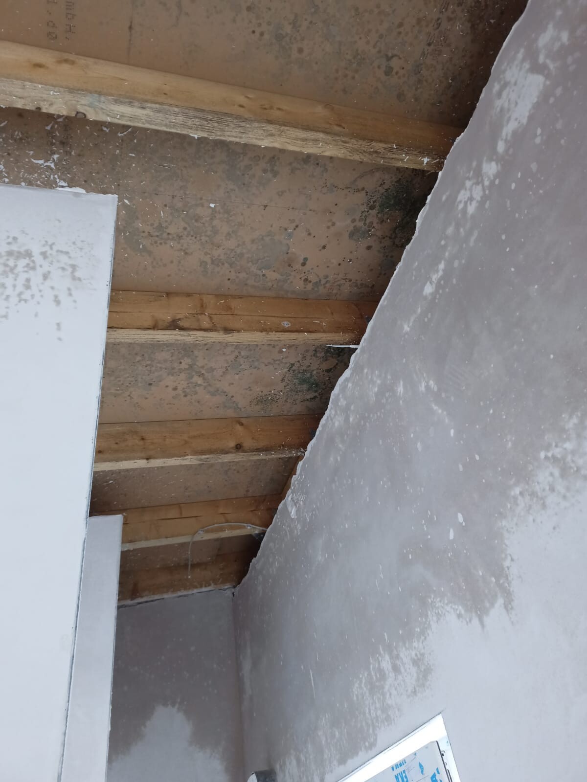 Holzbalkendecke mit Feuchtigkeit und Schimmelflecken, daneben weiße Wand