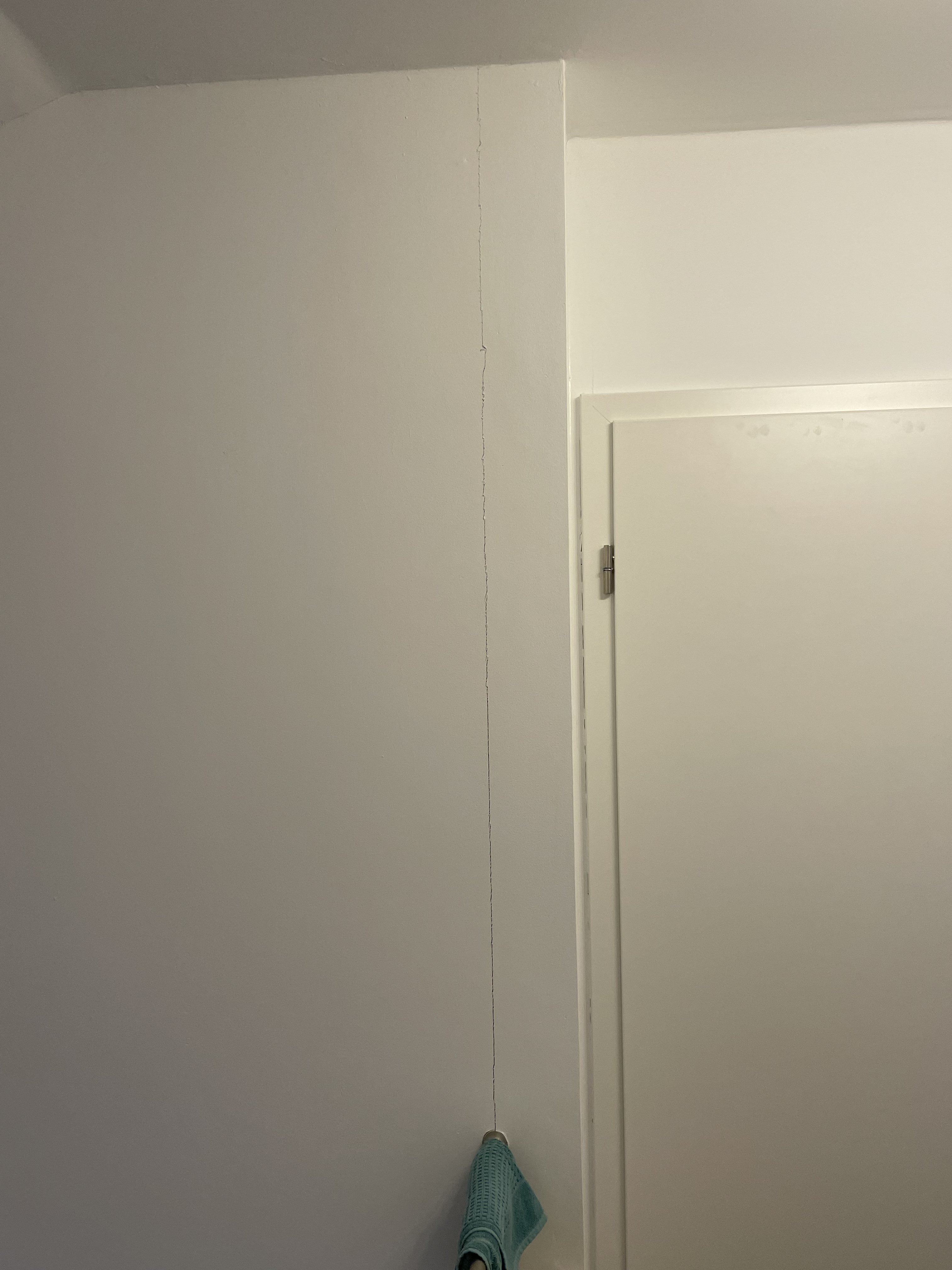 feuchte-wand-durch-fehlendes-lueften-nach-estrich-594953-5.jpg