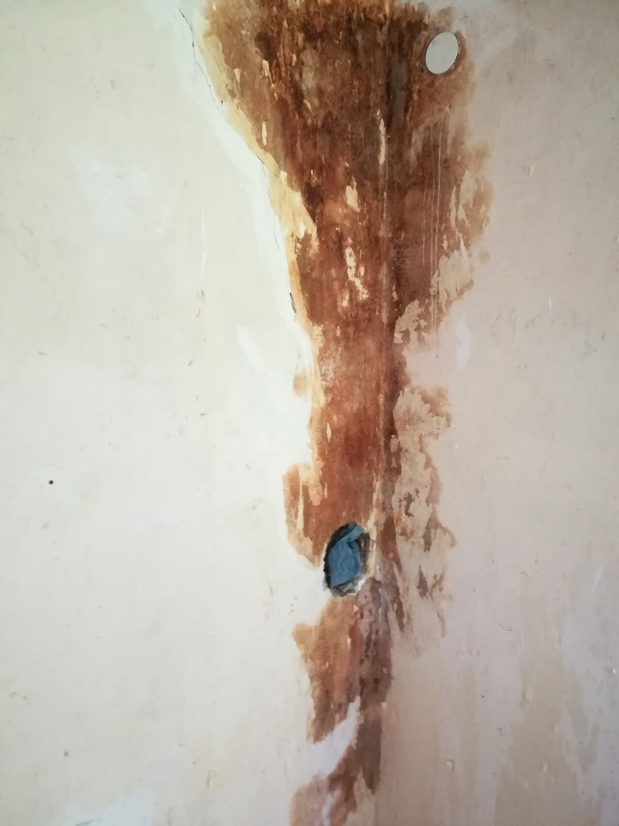 Wand mit braunen Feuchtigkeitsspuren, abblätterndem Putz und Loch mit blauem Material