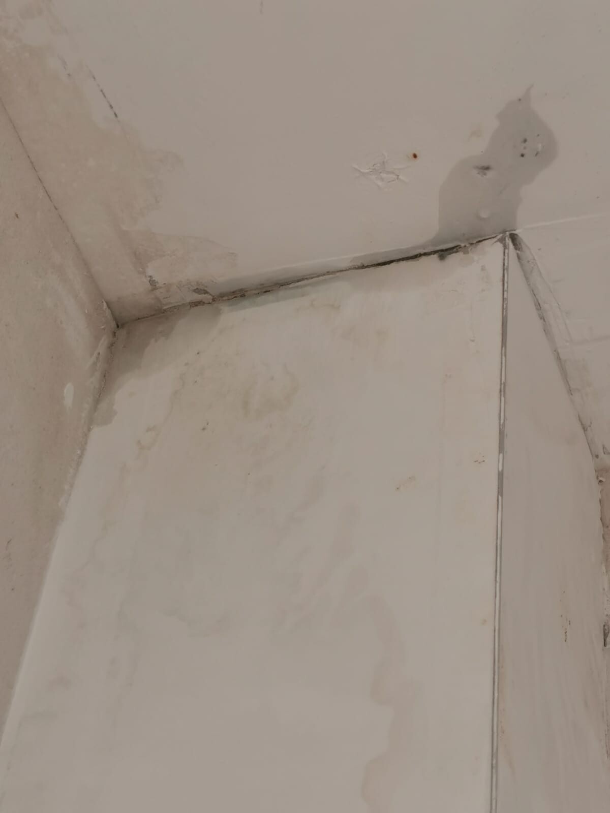 Feuchte Ecke mit Wasserflecken, Schimmel an Wand und Decke.