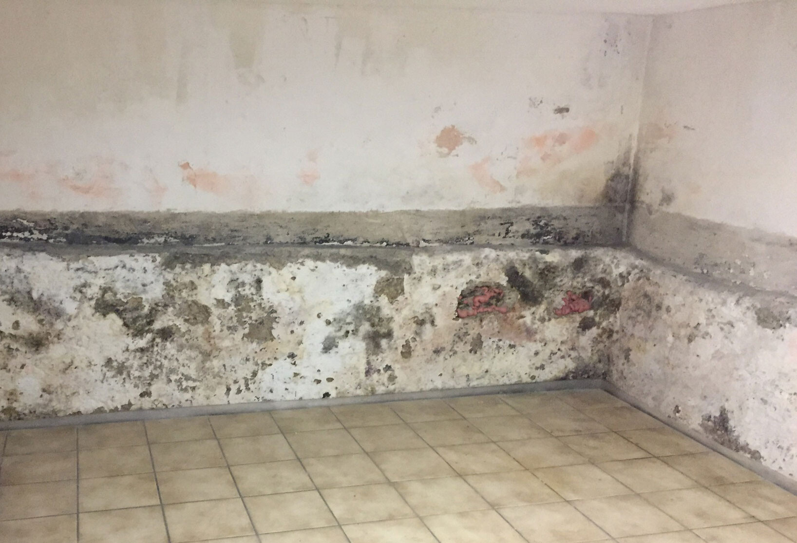 Kellerraum mit feuchten wänden, schimmel und Putzausblühungen über Fliesenboden