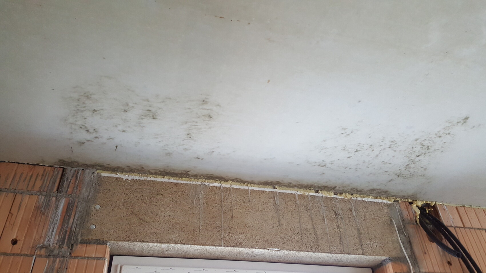 Feuchte Wand mit Schimmelbefall am Bodenbereich neben Fenster.