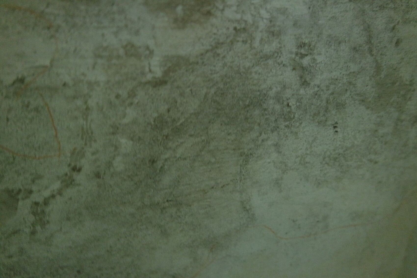 Feuchte grüne Kellerwand mit Moosflecken und rauer Oberfläche