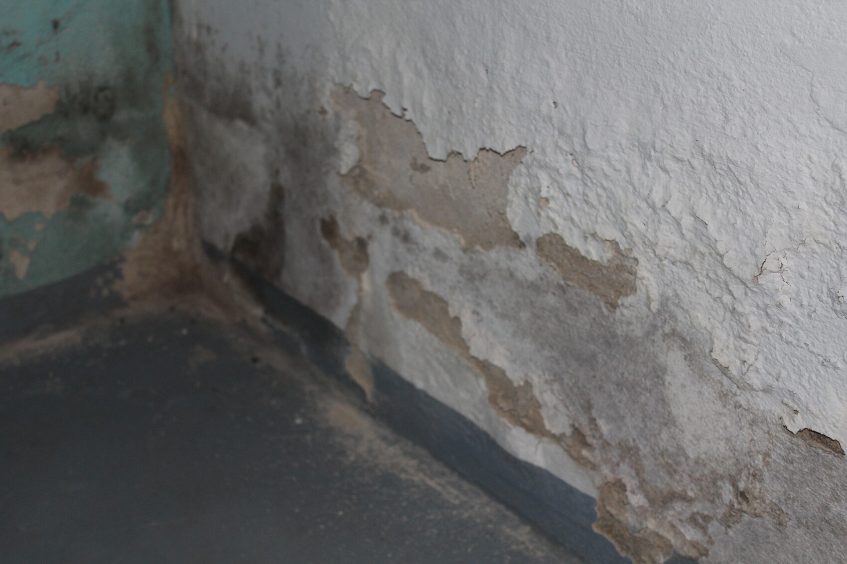 Kellerwand mit abplatzendem Putz und Feuchtigkeit