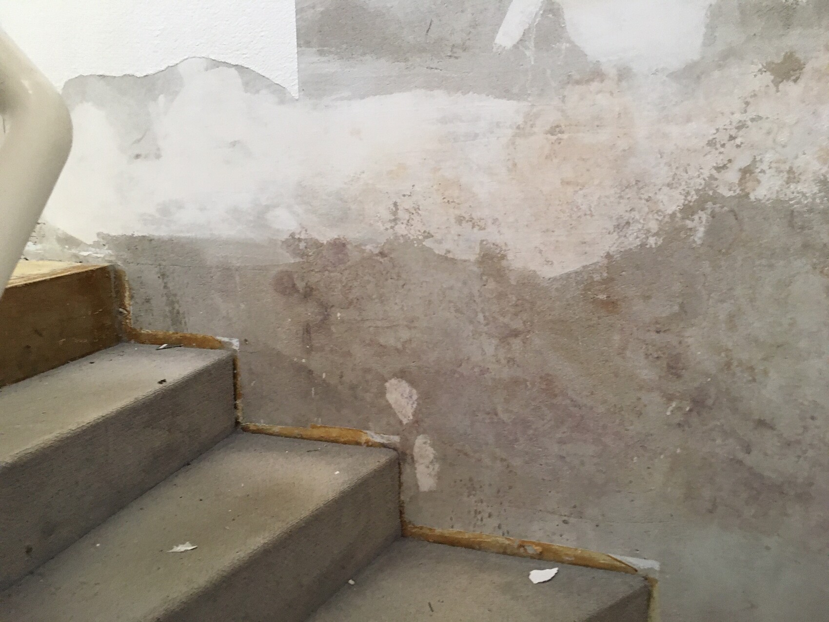 Betonstufen einer Treppe mit heller Wand, stark abgeblättertem Putz und Flecken.