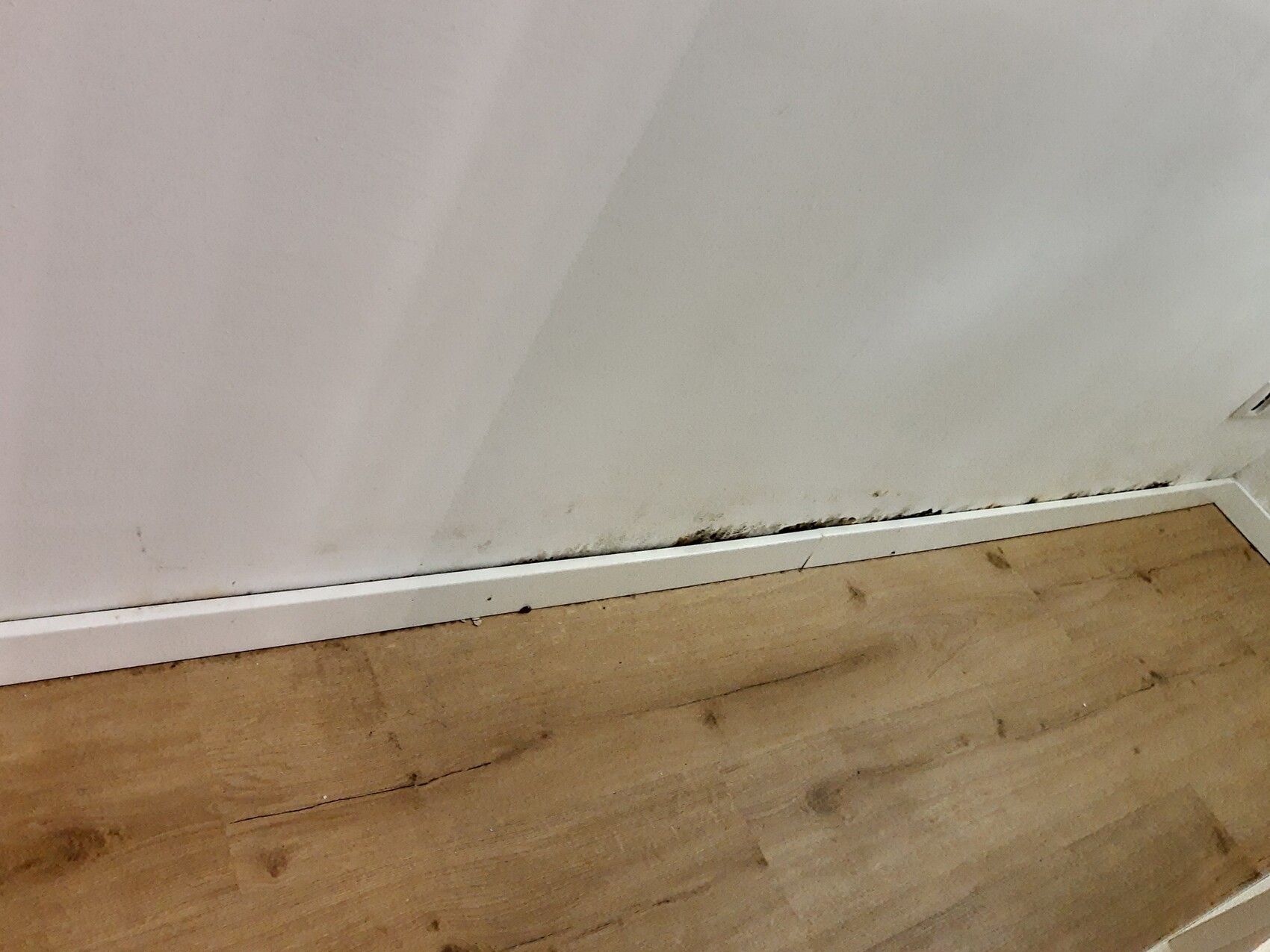 feuchte-wand-schimmel-am-fussboden.jpg