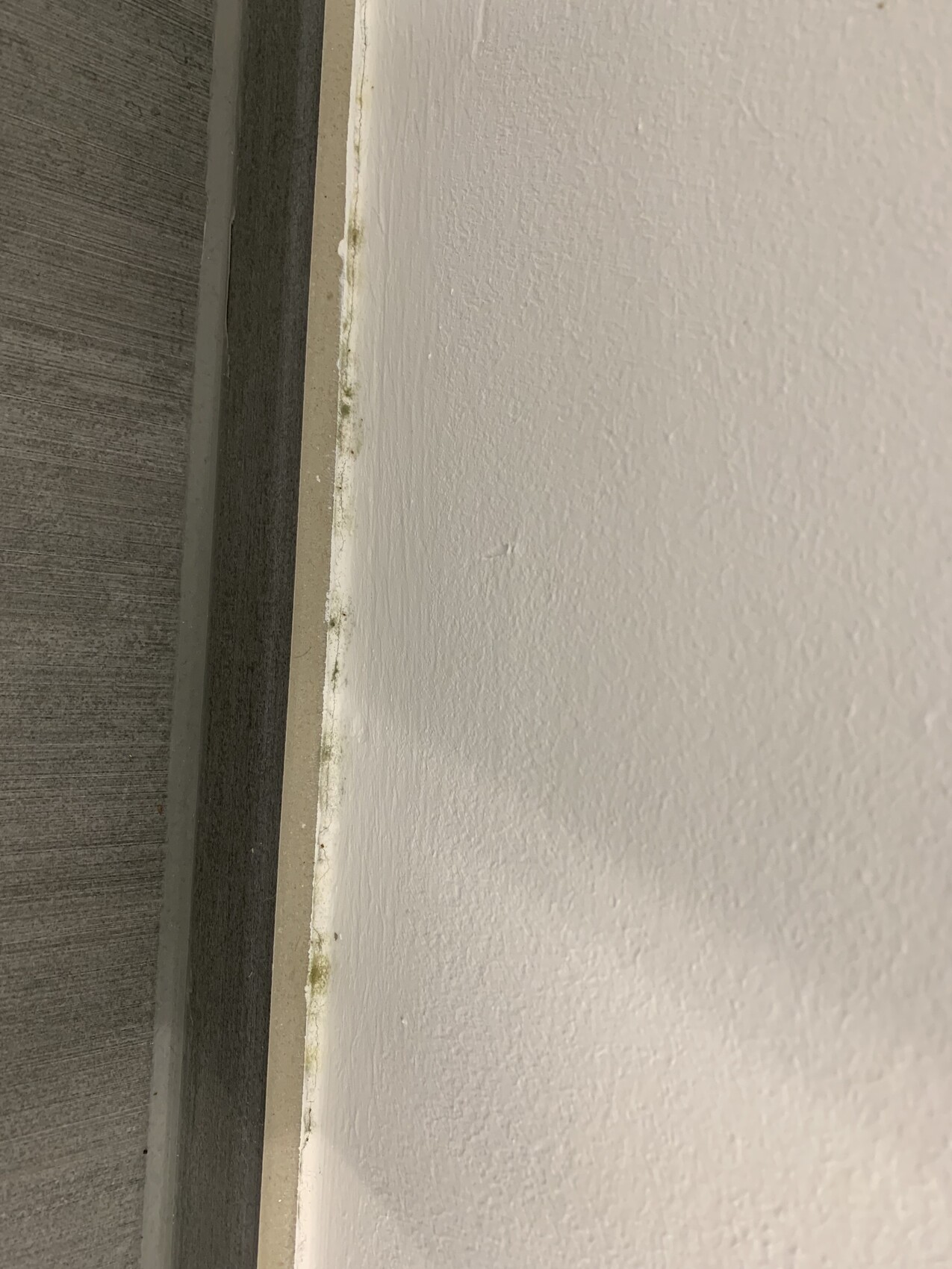 Grauer Türrahmen links, weiße texturierte Wand rechts, grüne Schimmelspuren am Spalt.