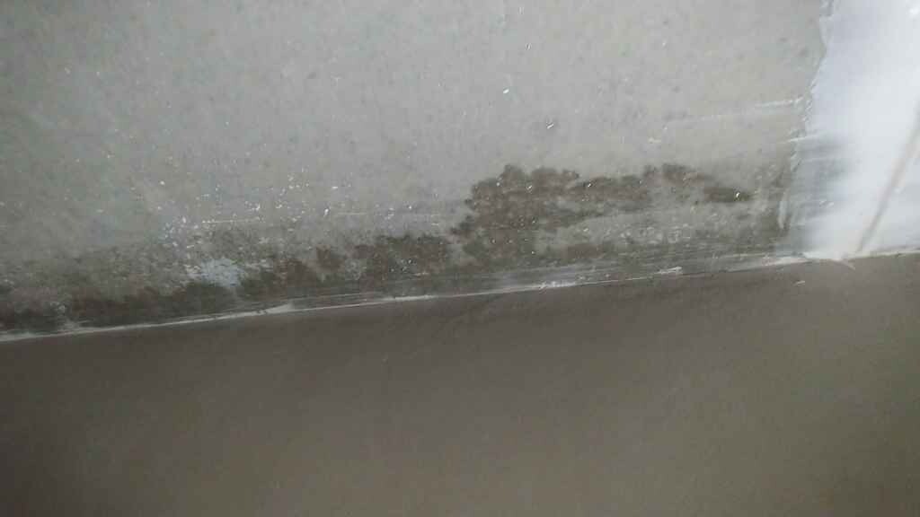 Feuchte Wand mit Schimmelbildung am unteren Bereich einer Gebäudewand nahe dem Boden