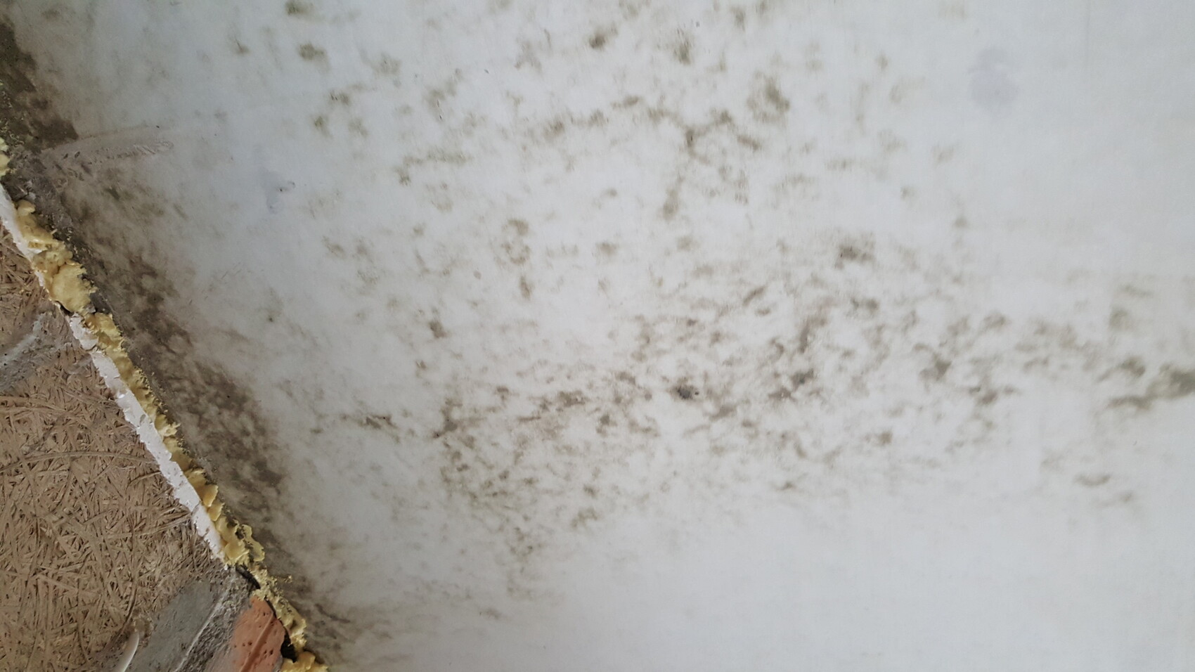 Wand mit Feuchtigkeit und Schimmelbefall, Randbereich mit Dämmmaterial an Baustruktur sichtbar
