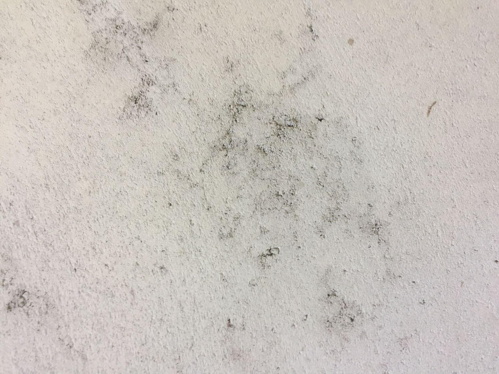 Weiße Putzwand mit dunklen Feuchtigkeits- und Schimmelstellen