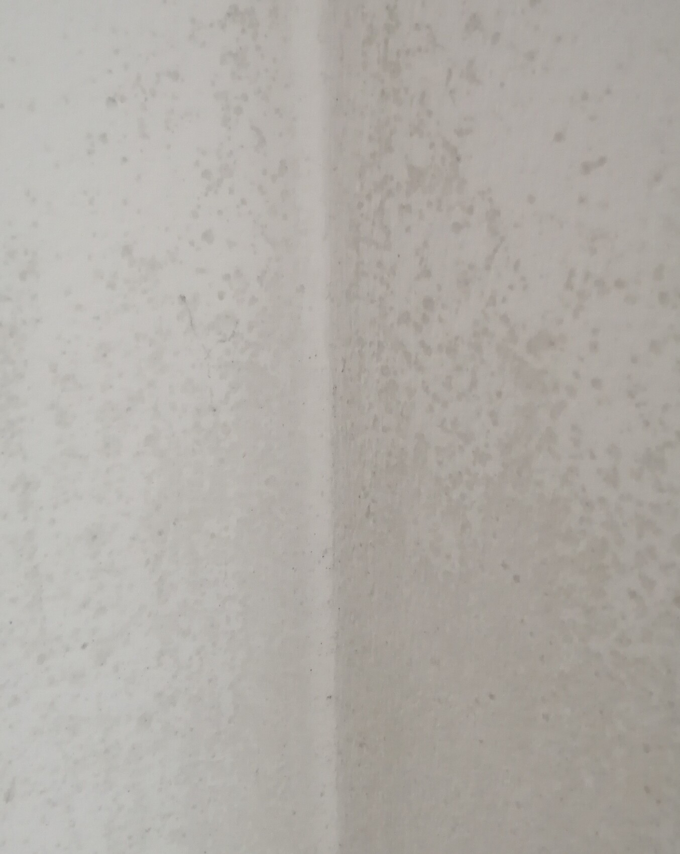 Blick auf eine hellgraue Wand mit vielen kleinen Flecken und einer vertikalen Naht.