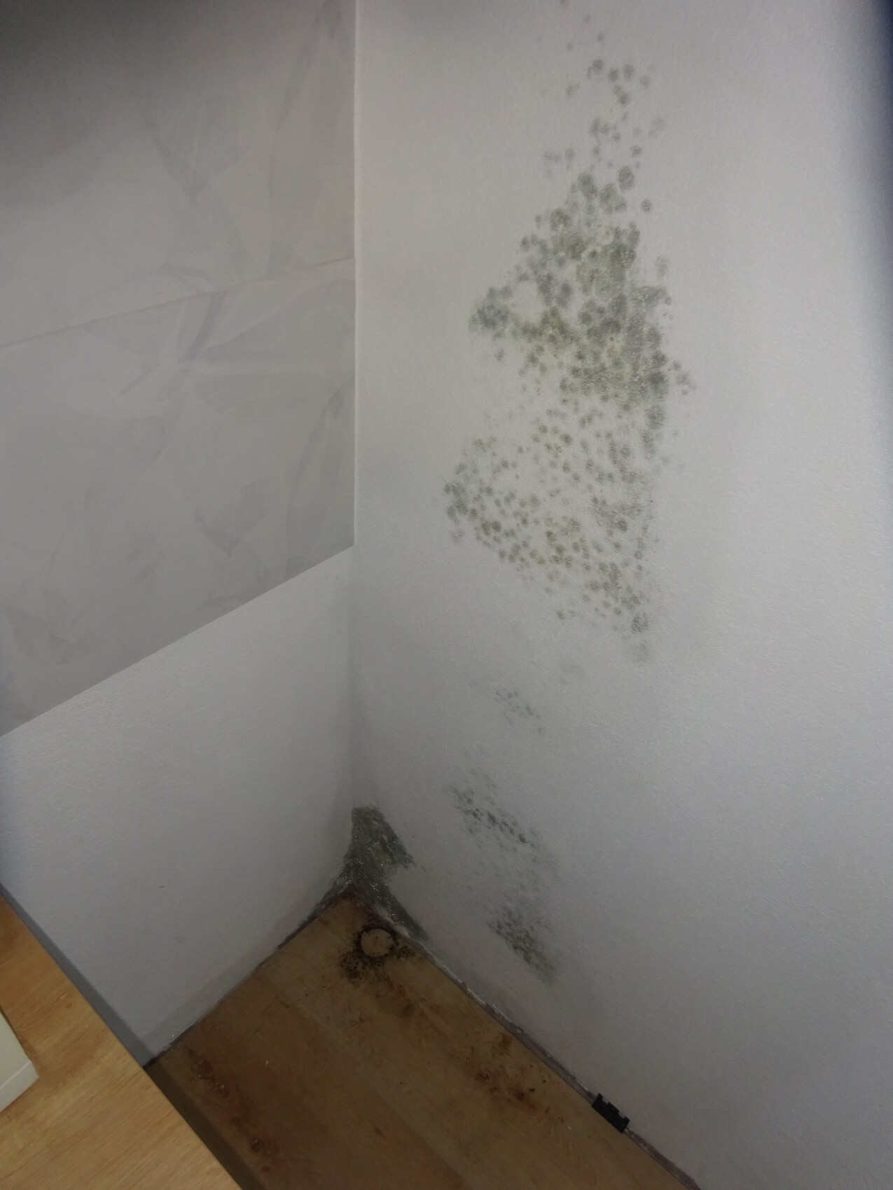Ecke eines Zimmers mit Schimmelbefall an Wand bis Bodennähe.