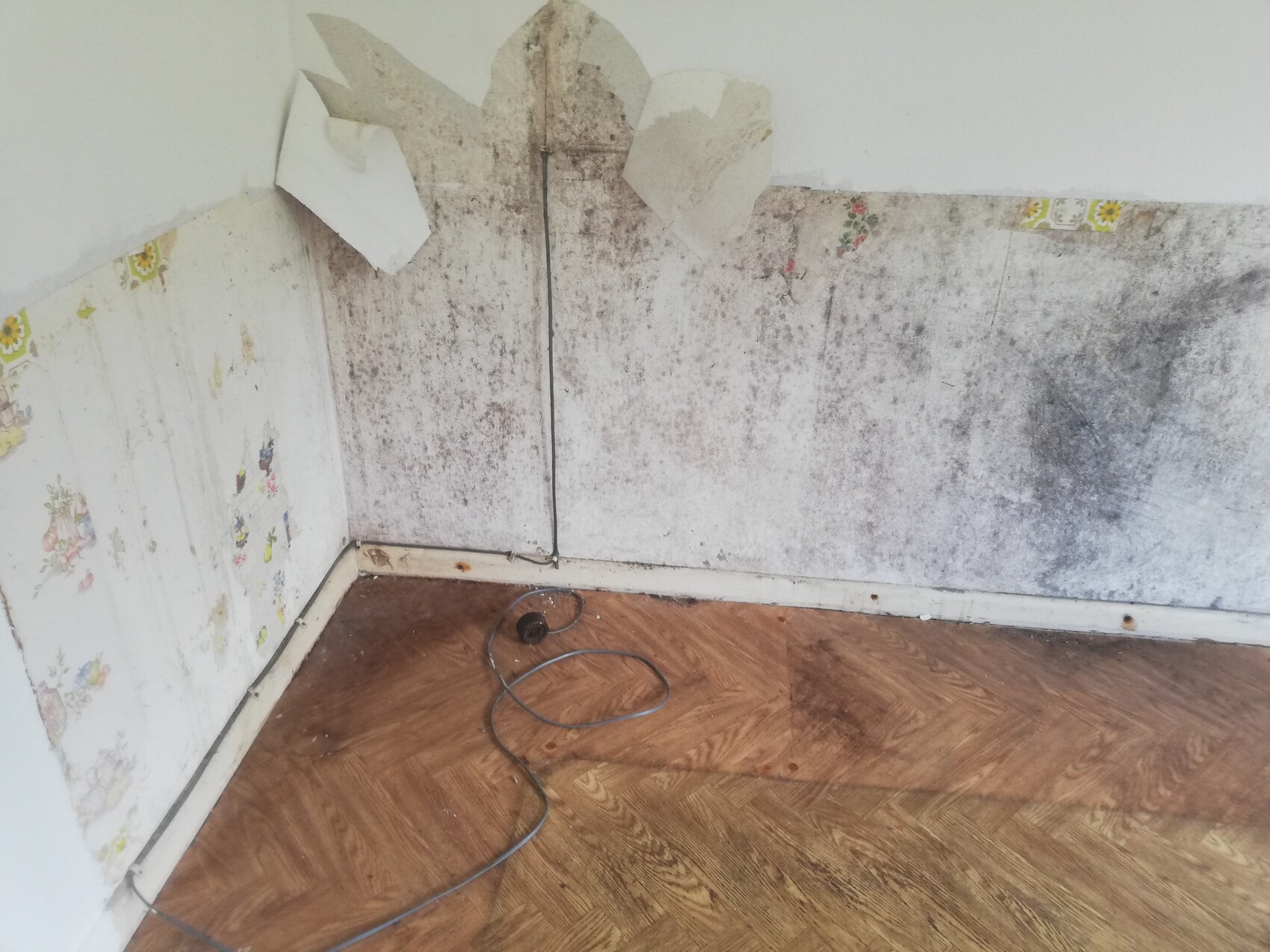 Feuchte, schimmelige Ecke eines Zimmers mit abgeblätterter Tapete und losem Kabel auf Holzboden.