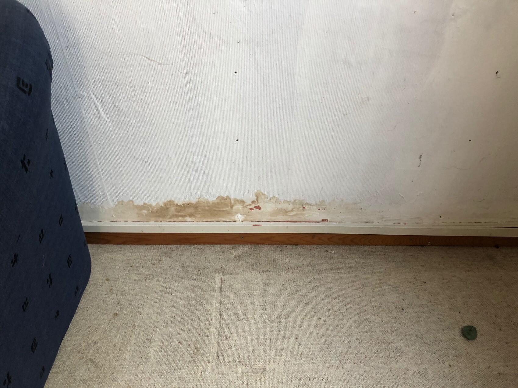 Weiße Wand mit Feuchtigkeitsschaden und Verfärbungen entlang der Fußleiste, daneben Teppichboden.