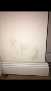Beige Wand mit Feuchte- und Schimmelflecken am unteren Rand neben der Sockelleiste.