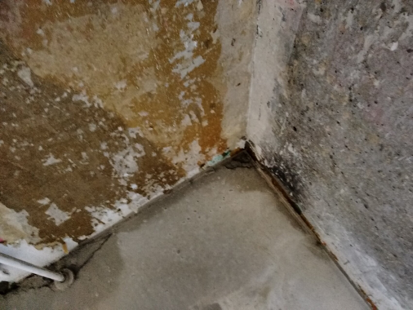 Ecke einer feuchten Innenwand mit abblätterndem Putz und feuchten Verfärbungen am Boden.