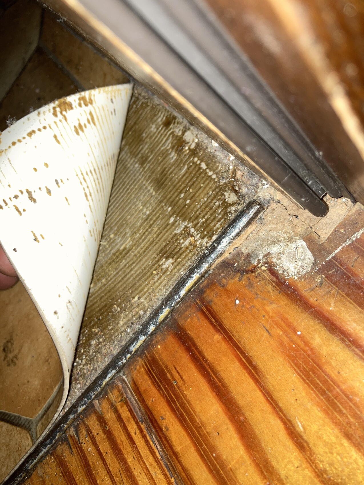 Staubige Ecke am Tür-/Fensterrahmen mit Holzboden, Dichtungsprofil und Schmutz.