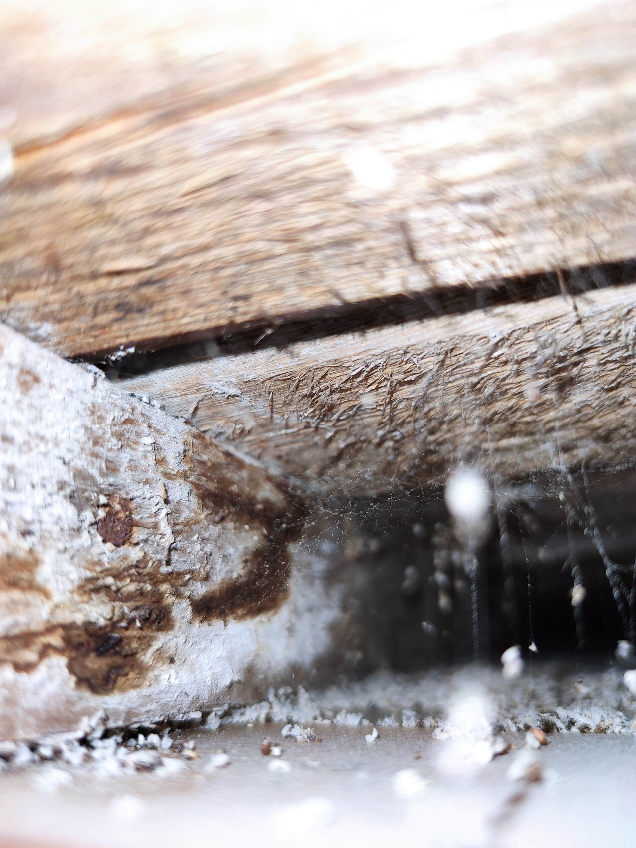 Nahaufnahme von altem Holz, Staub, Risse und Spinnweben in einer Spalte.