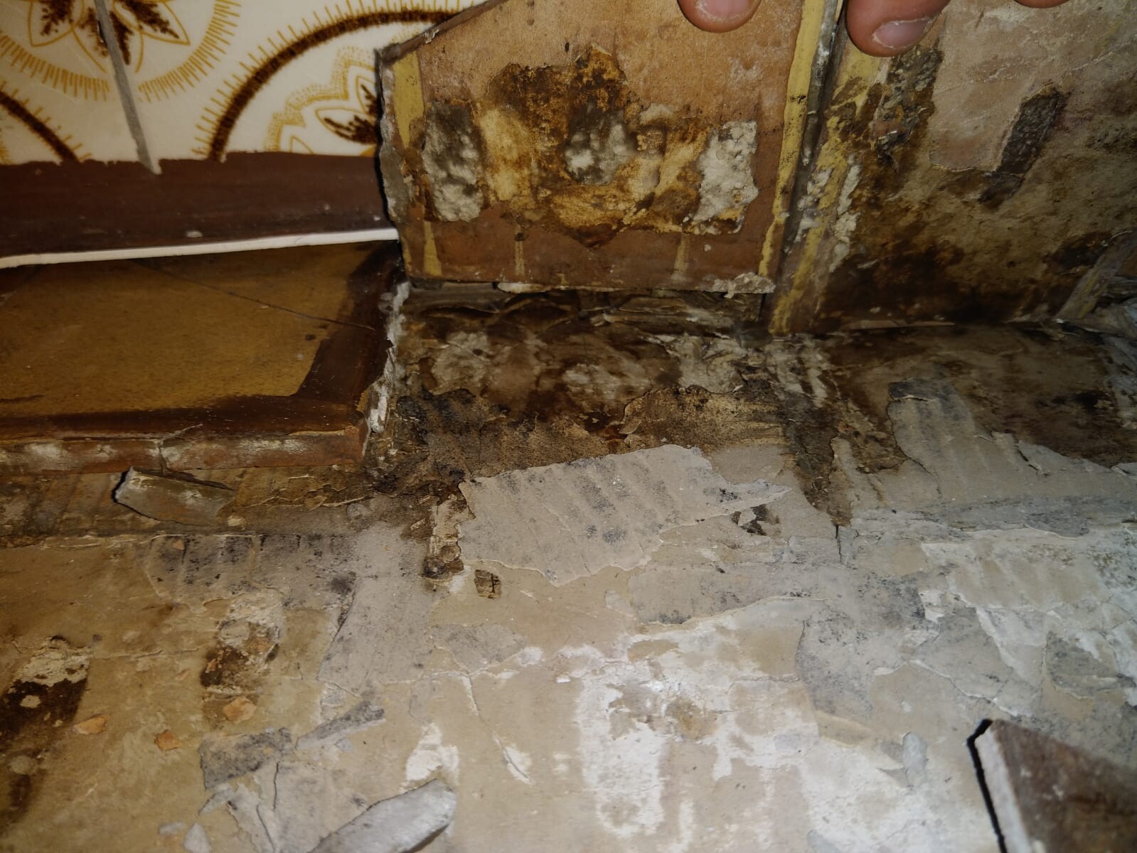 Feuchter, beschädigter Kellerboden mit bröckelndem Putz, Wand und Holzträger.
