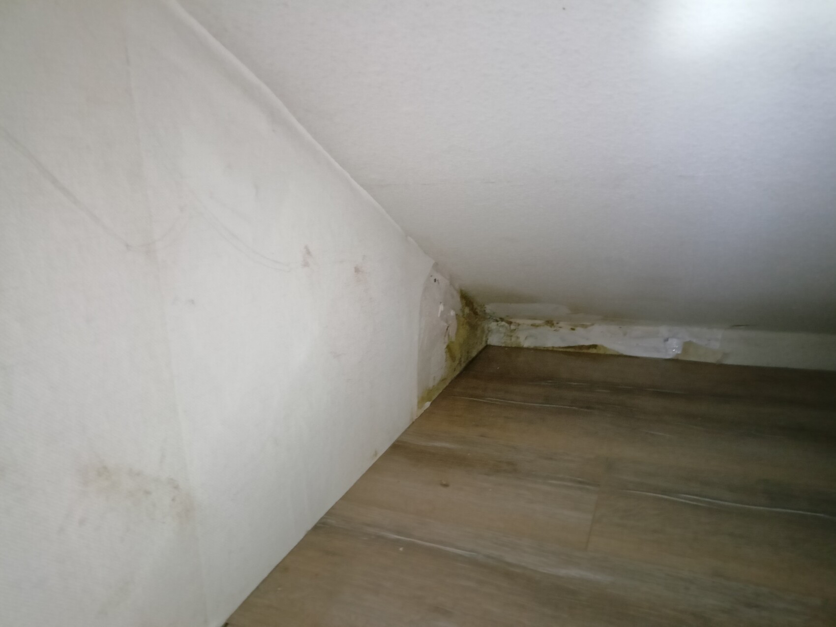 Enge Dachbodenecke mit schräger Decke, Holzfußboden und Schimmelflecken an der Wand.