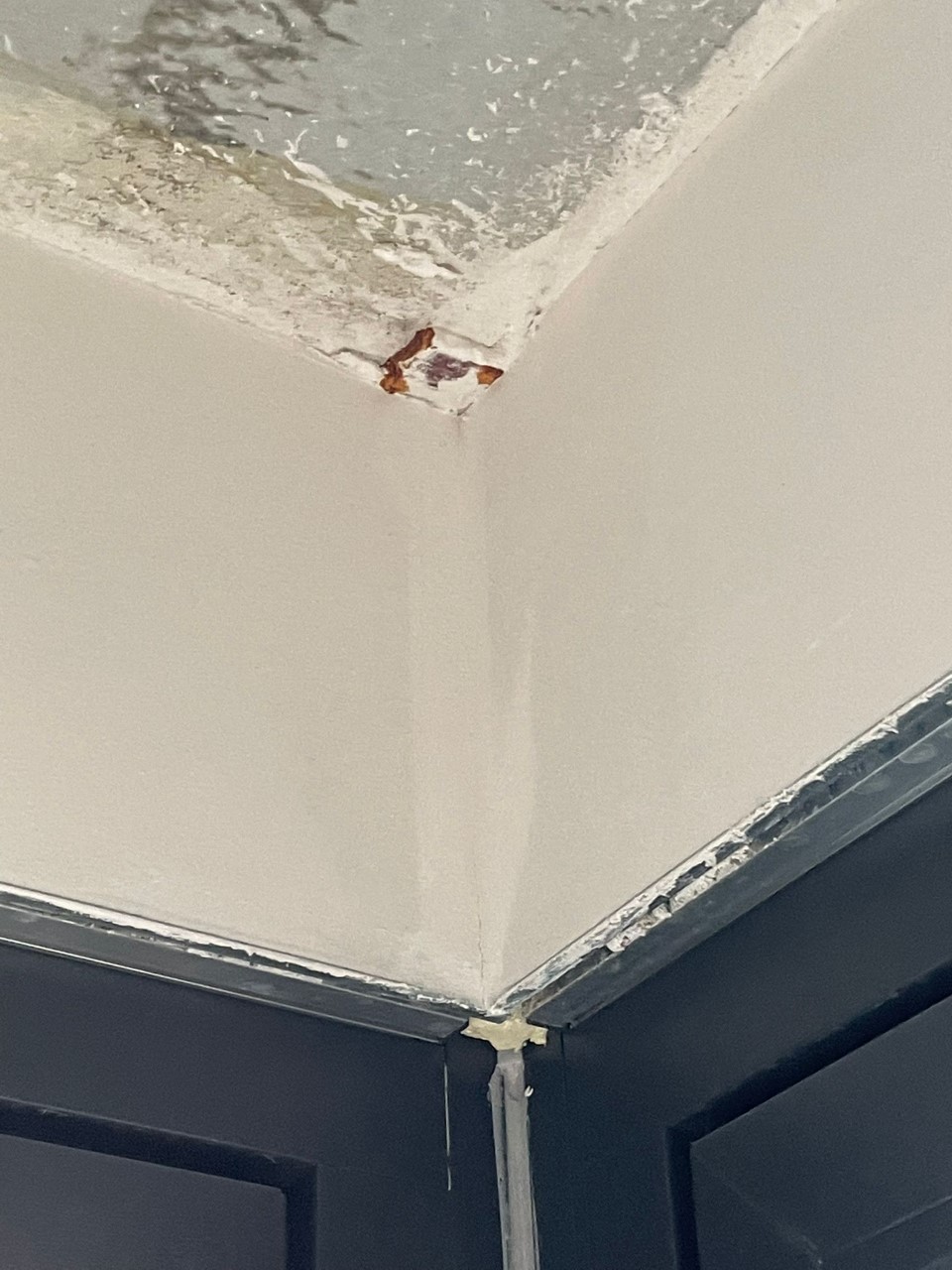 feuchter-wand-decken-schaden-abplatzungen.jpg
