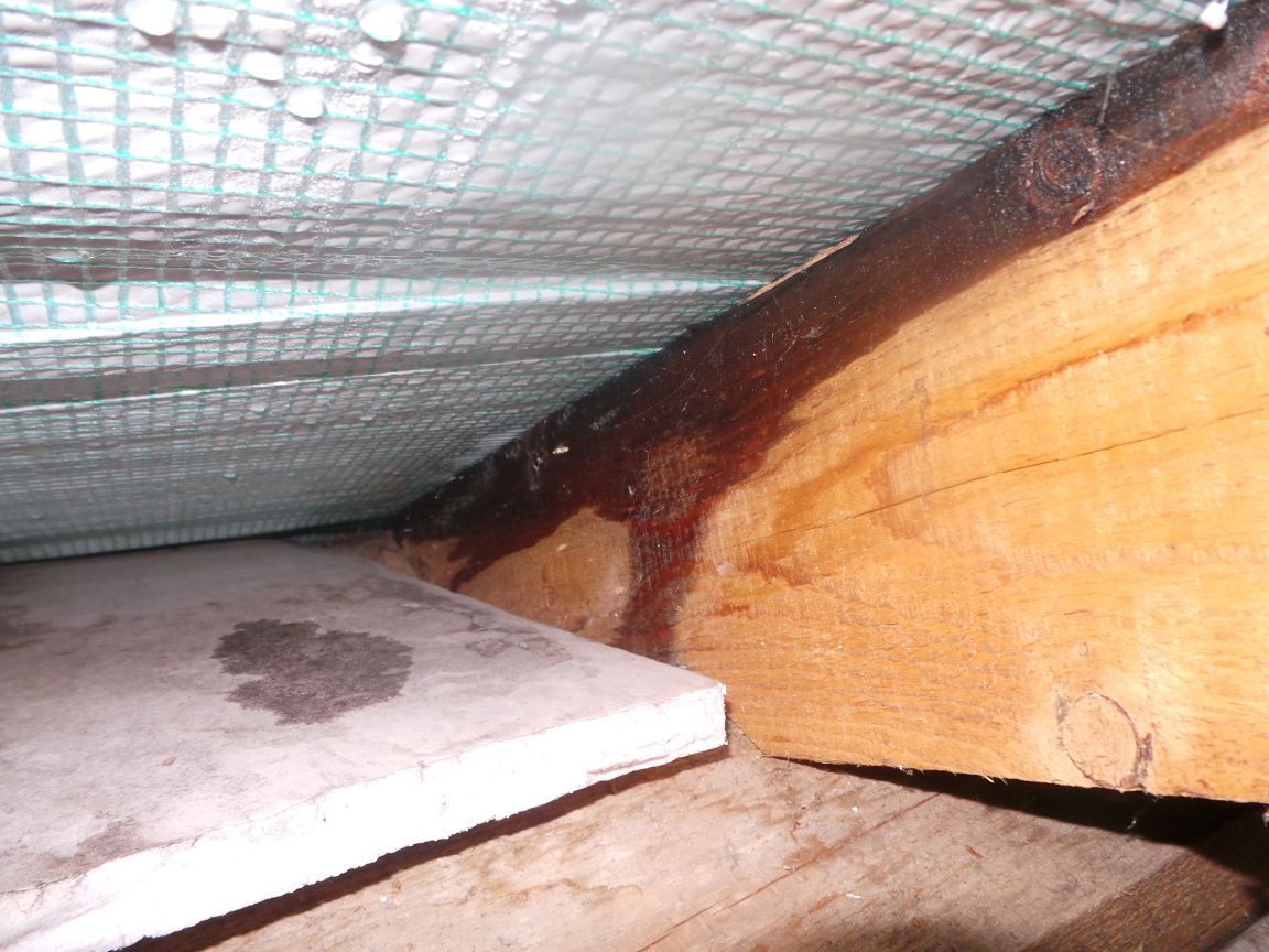 feuchtigkeit-am-dachboden-dampfbremse-505152-3.JPG