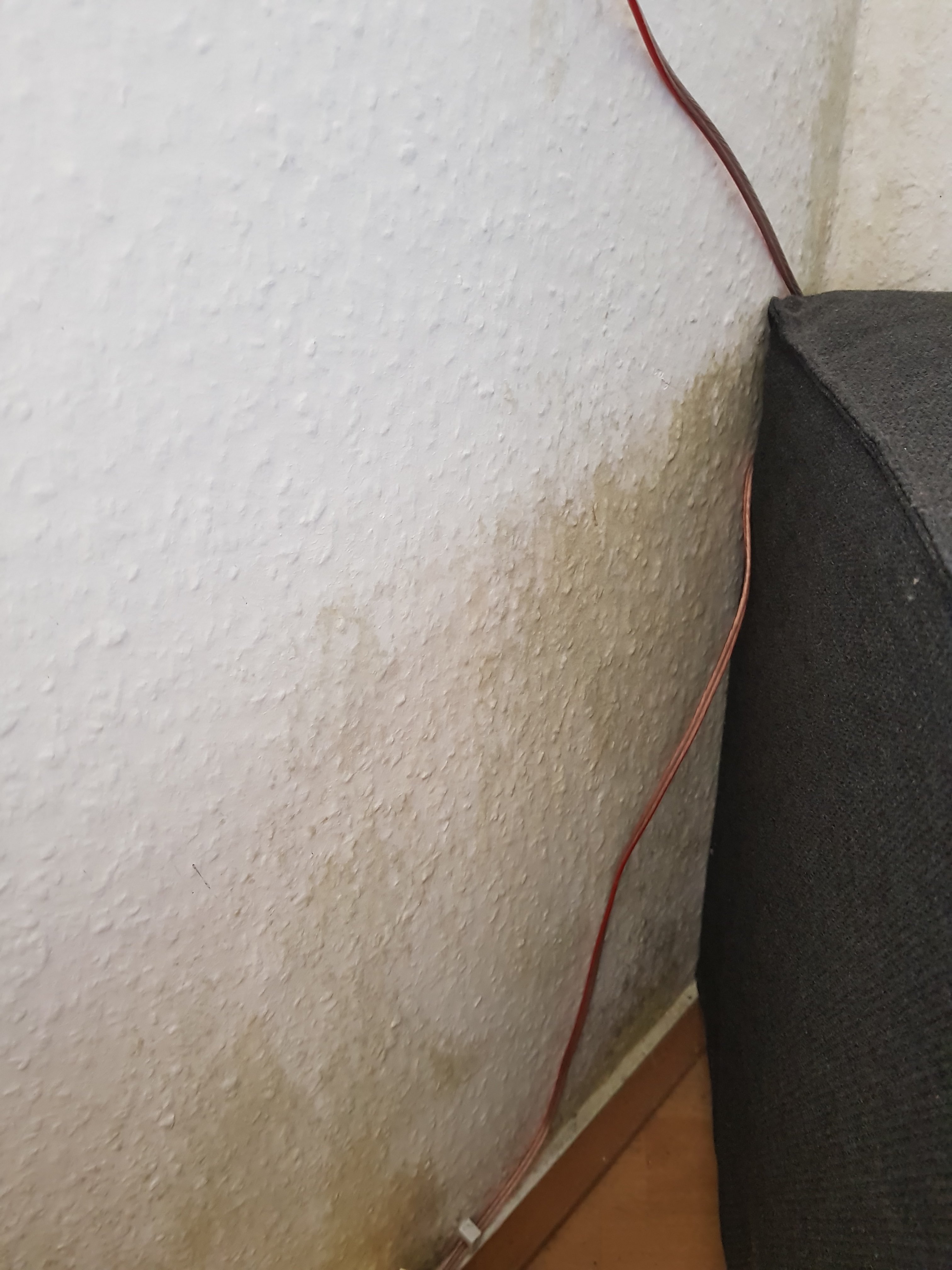 feuchtigkeit-in-souterrainwohnung-218998-1.jpg
