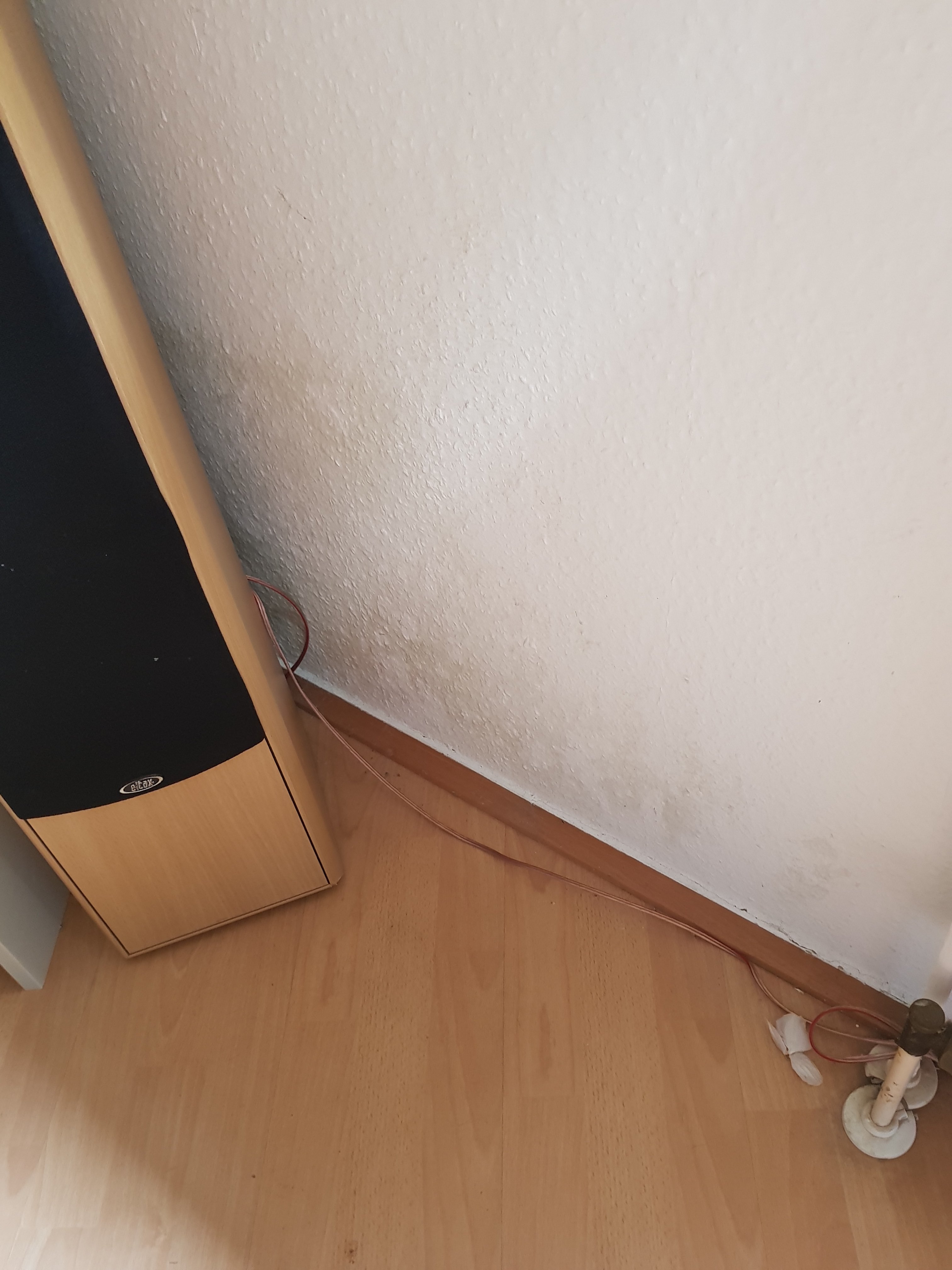 feuchtigkeit-in-souterrainwohnung-218998-2.jpg