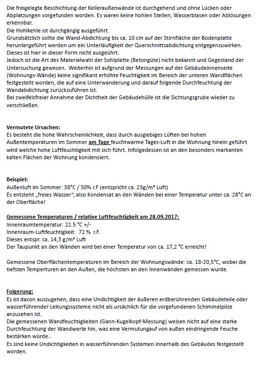 feuchtigkeit-in-souterrainwohnung-225257-5.JPG