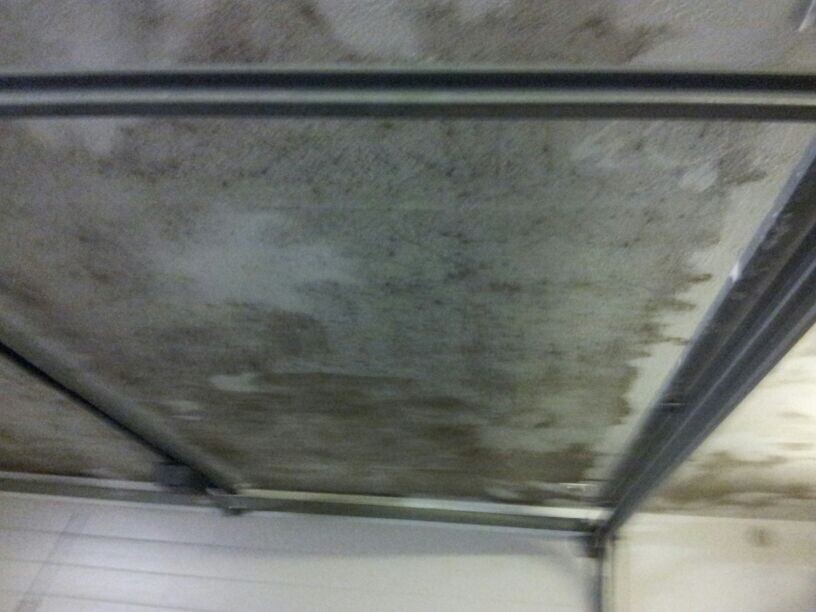 Feuchter Duschbereich im Badezimmer mit Schimmel an Decke und Wand