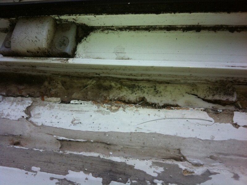Fensterrahmen und Fensterbank mit Schimmel, Dreck und abgeblätterter Farbe.