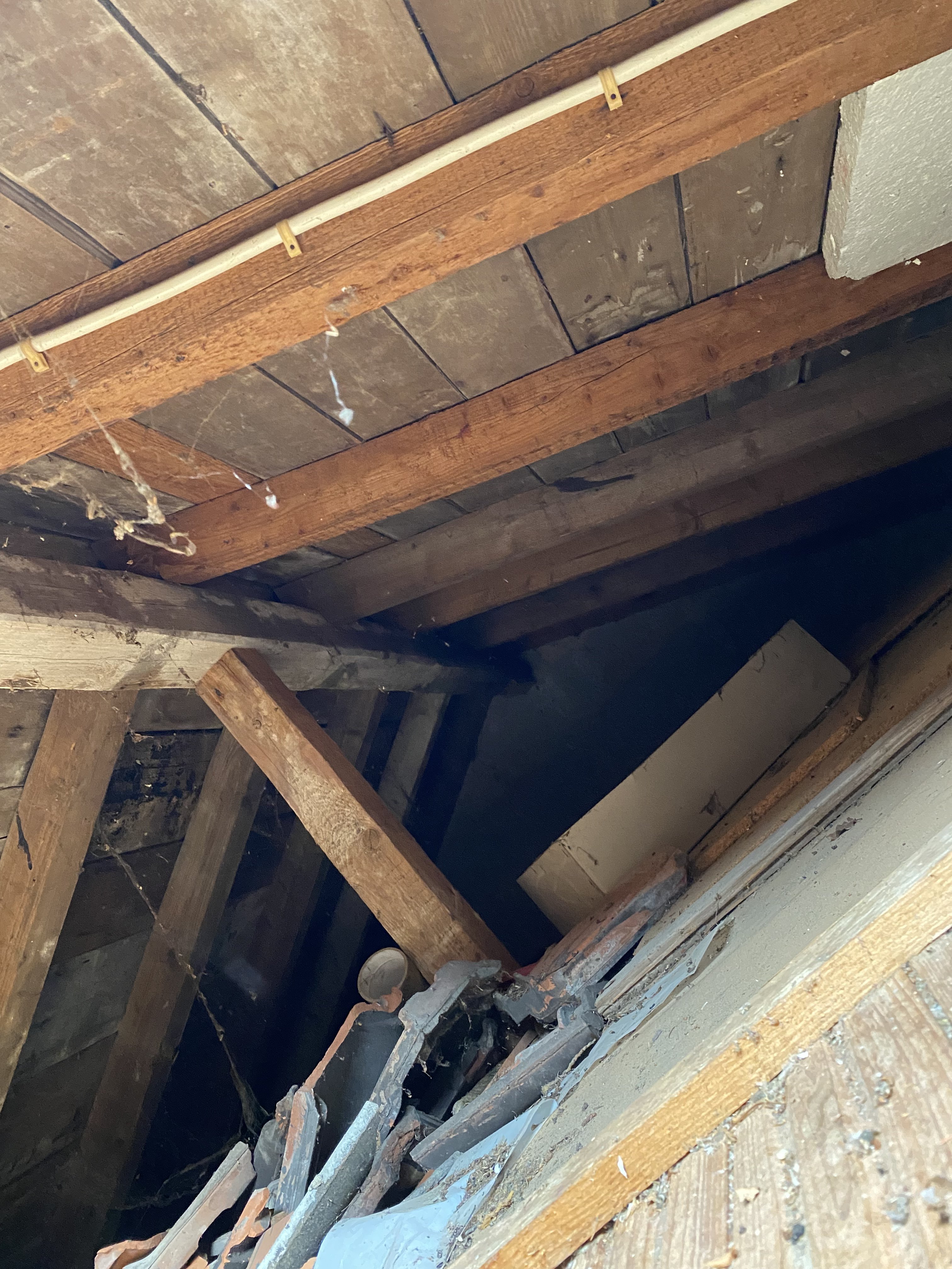 feuchtigkeit-schimmel-im-haus-experte-aufbieten-529606-4.jpeg