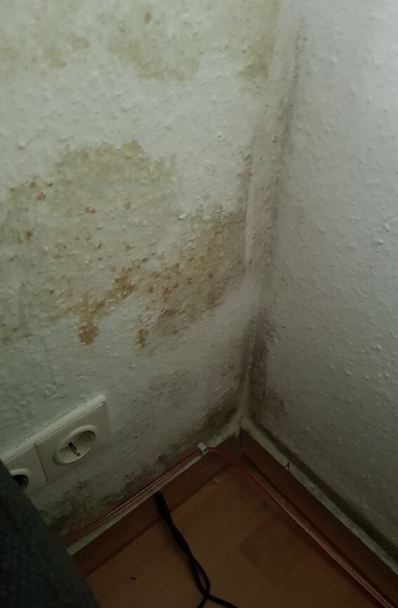 feuchtigkeit-schimmel-innenwand-keller-ecke.jpg