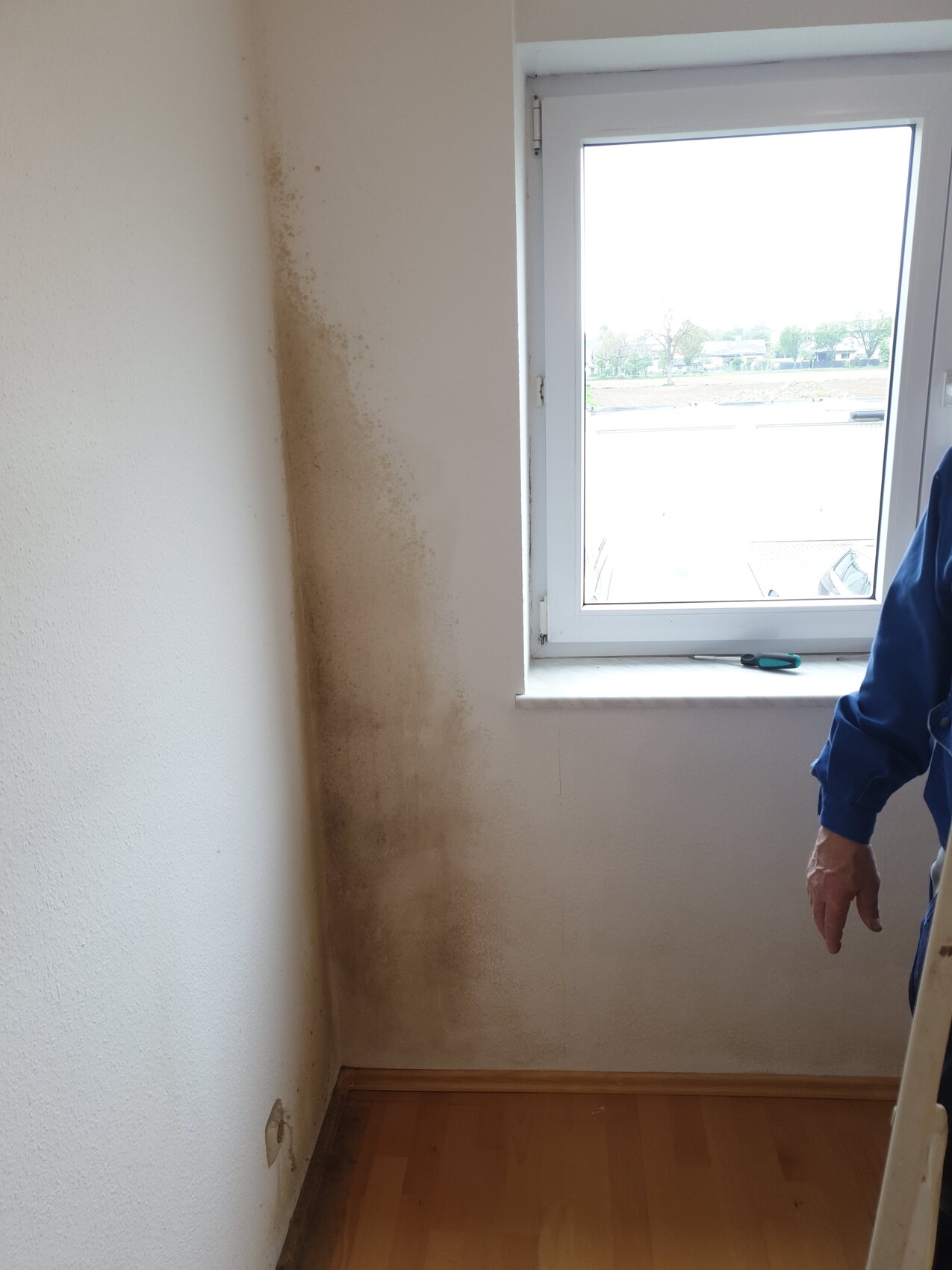 Dunkle Feuchtigkeitsschäden an der Wand neben dem Fenster, Boden aus Laminat.