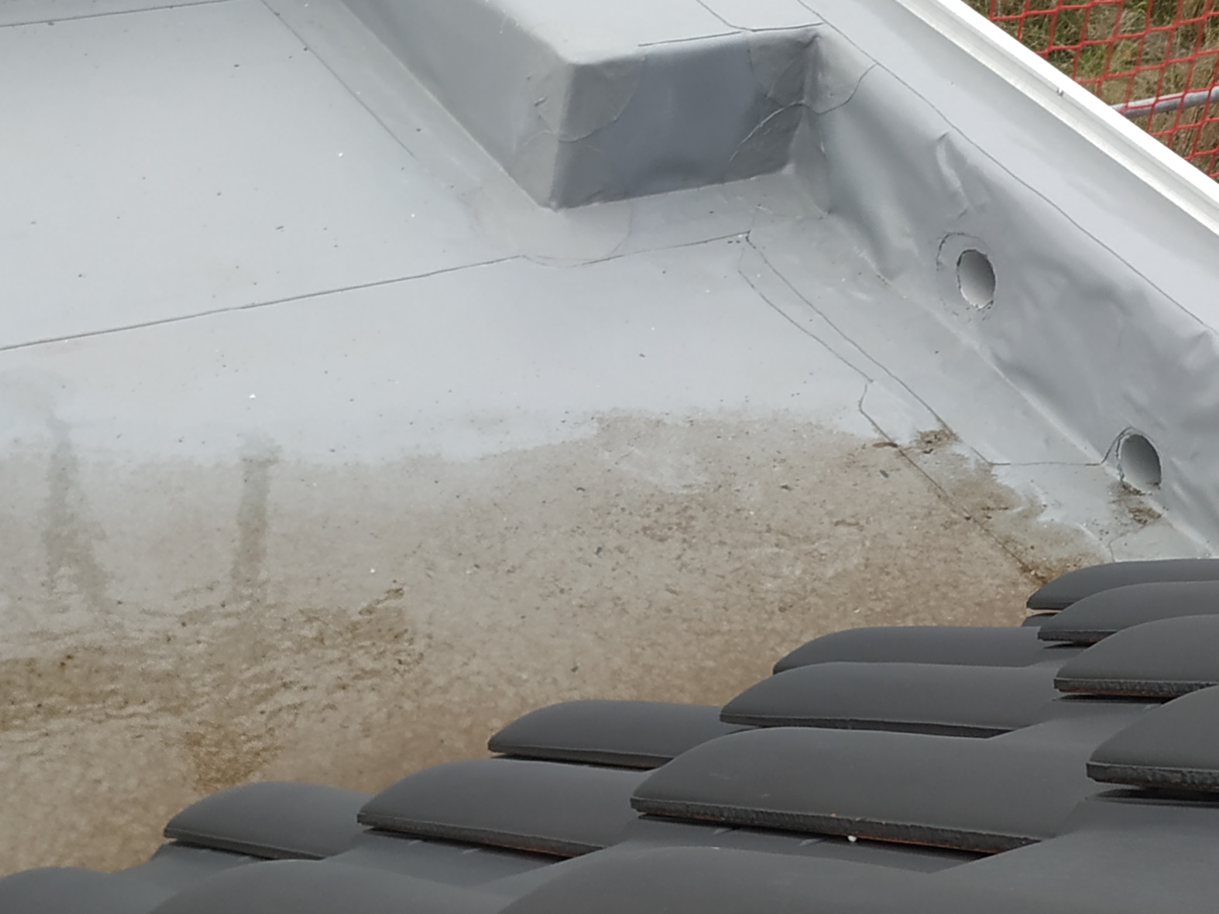 flachdach-da-steht-wasser-drauf-600756-2.jpg