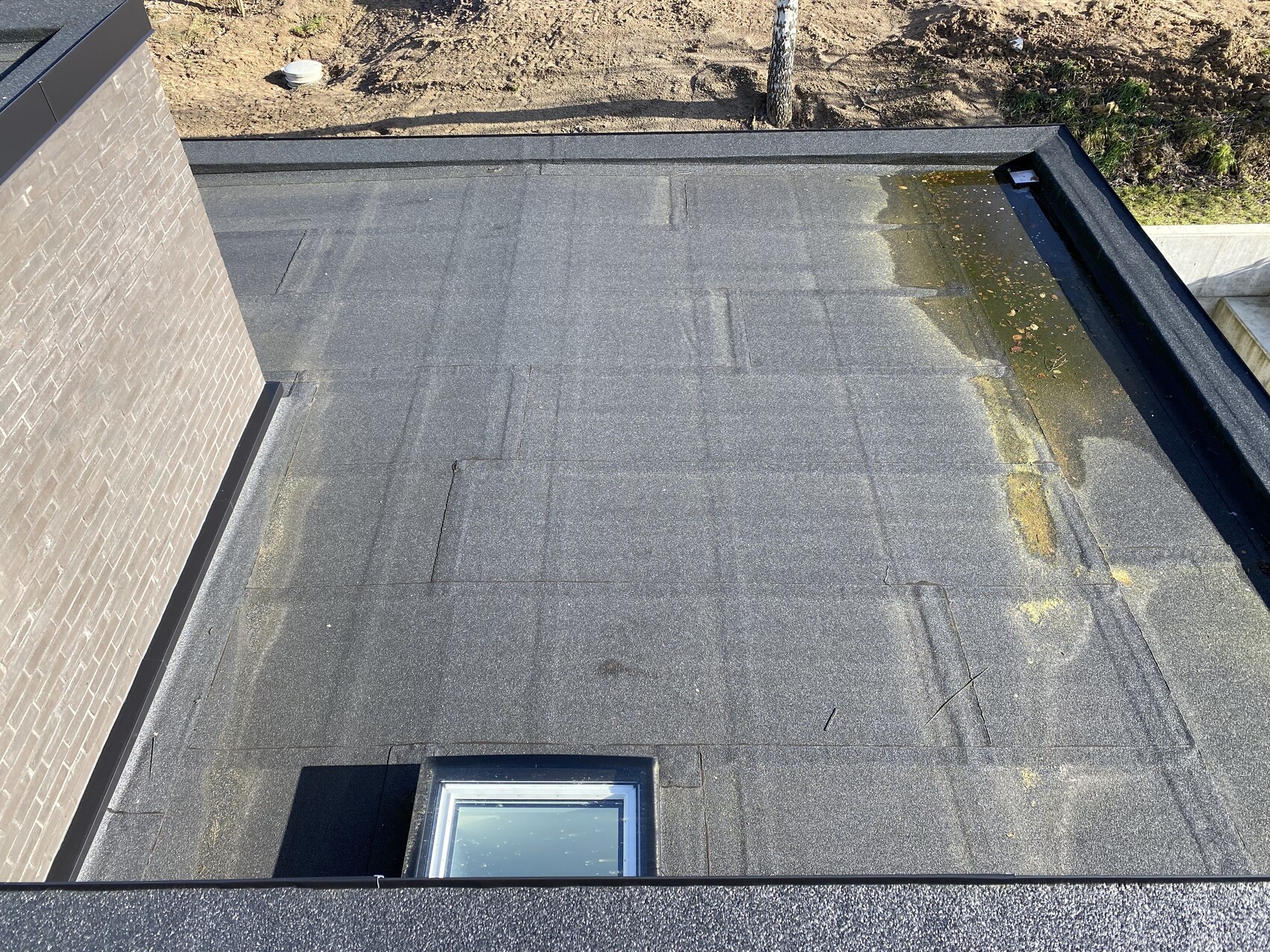 Flachdach mit dunkler Bitumenbeschichtung, Dachfenster unten, Randbereich feucht mit Moos.