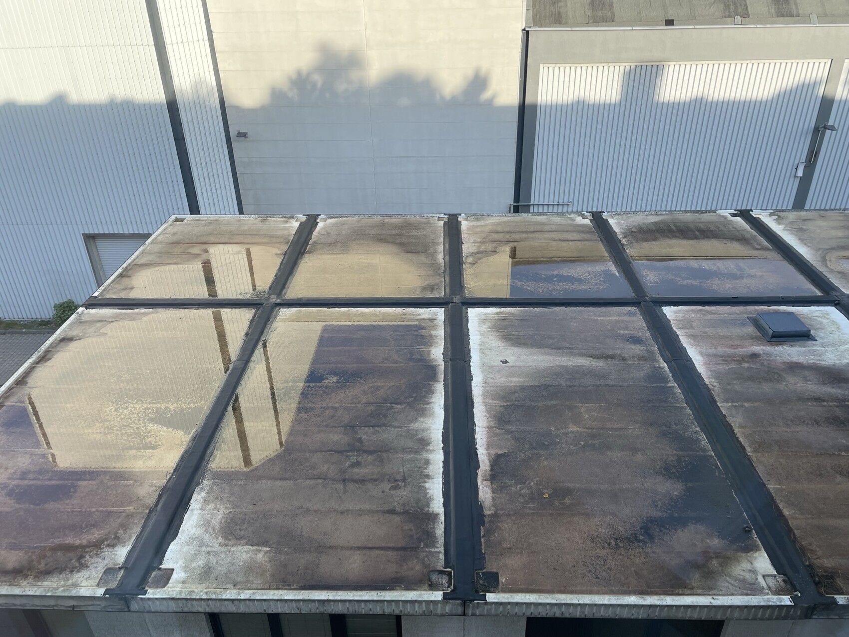 Flachdach mit quadratischen Glasfeldern in dunklen Rahmen; verschmutzt, reflektiert Gebäude.