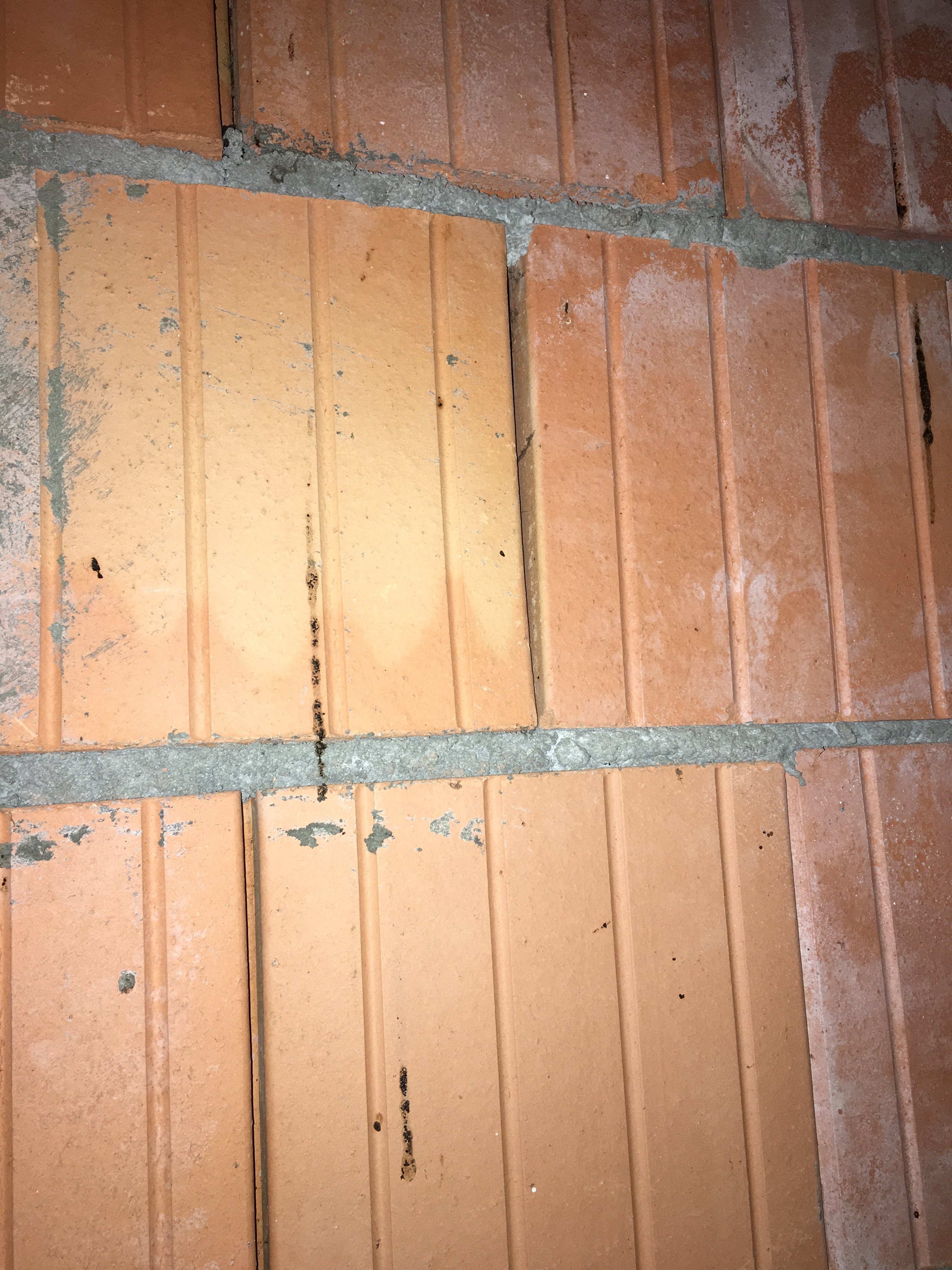 flecken-an-der-wand-feuchteschimmel-298186-2.jpeg