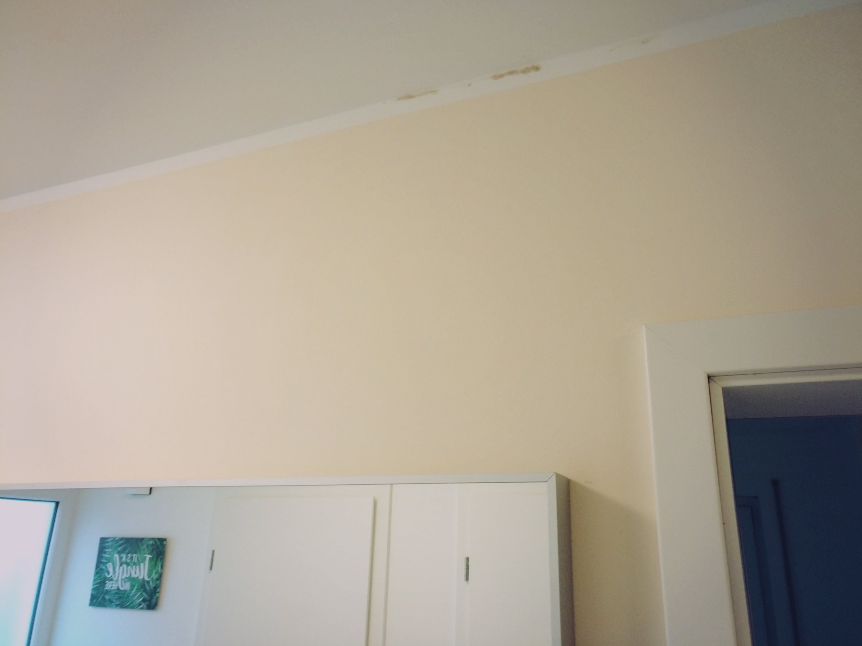 fleckenentwicklung-wand-keine-feuchtigkeit-messbar-289111-2.jpg