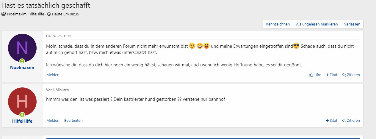 Forum: Noelmaxim (N) und HilfeHilfe (H) mit zwei Posts; erster Post mit Emojis, zweiter mit Frage.