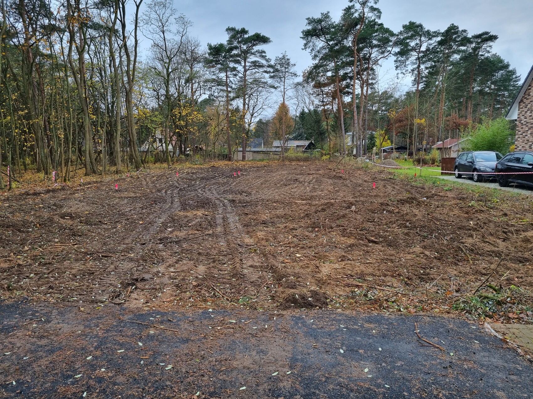 Leeres Baugrundstück mit Erdarbeiten, pinken Markierungen, Randbäumen und Häusern im Hintergrund.