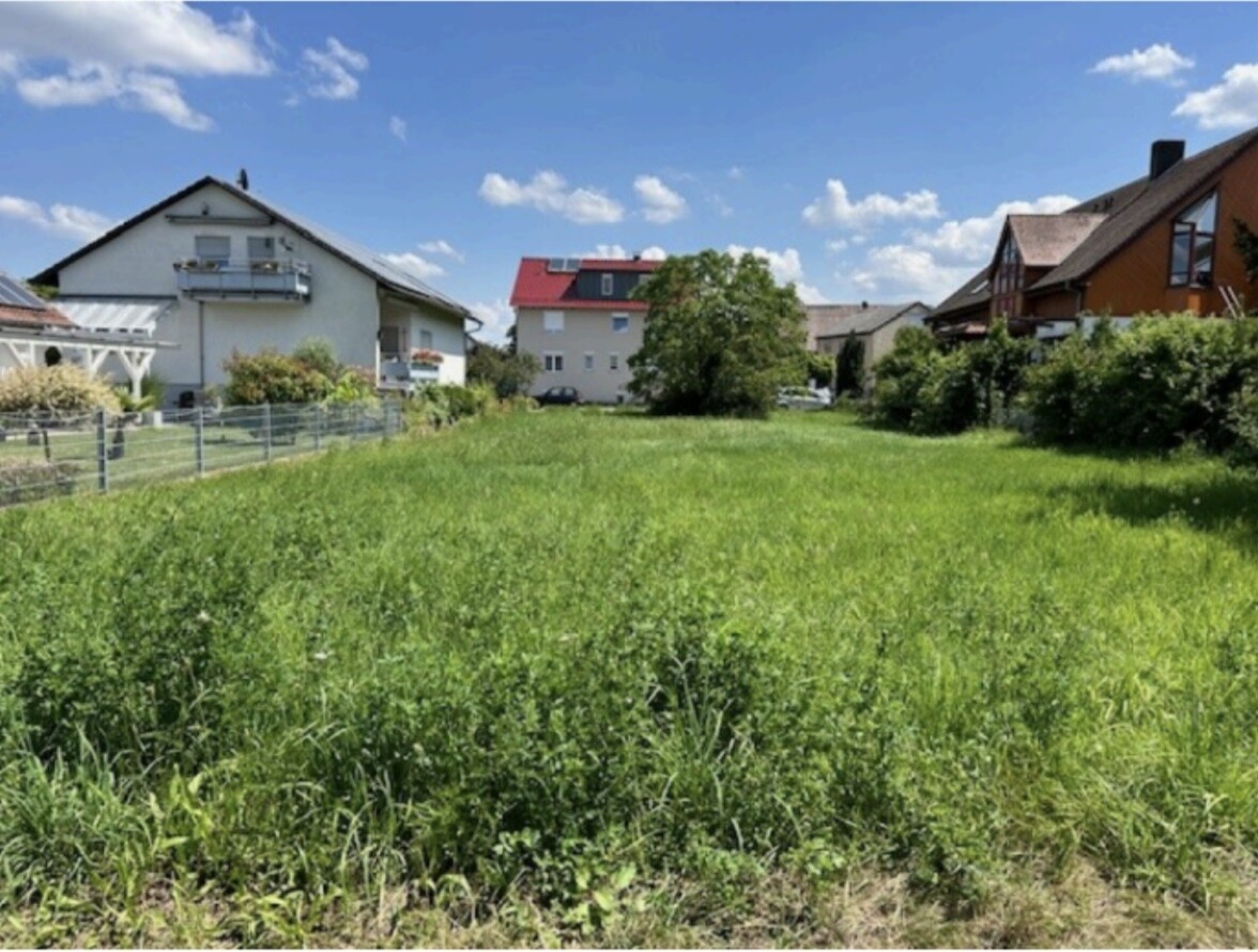 Grünes unbebautes Grundstück in einer Vorstadt, von Häusern umgeben, sonnig